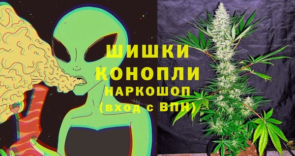 трава Беломорск